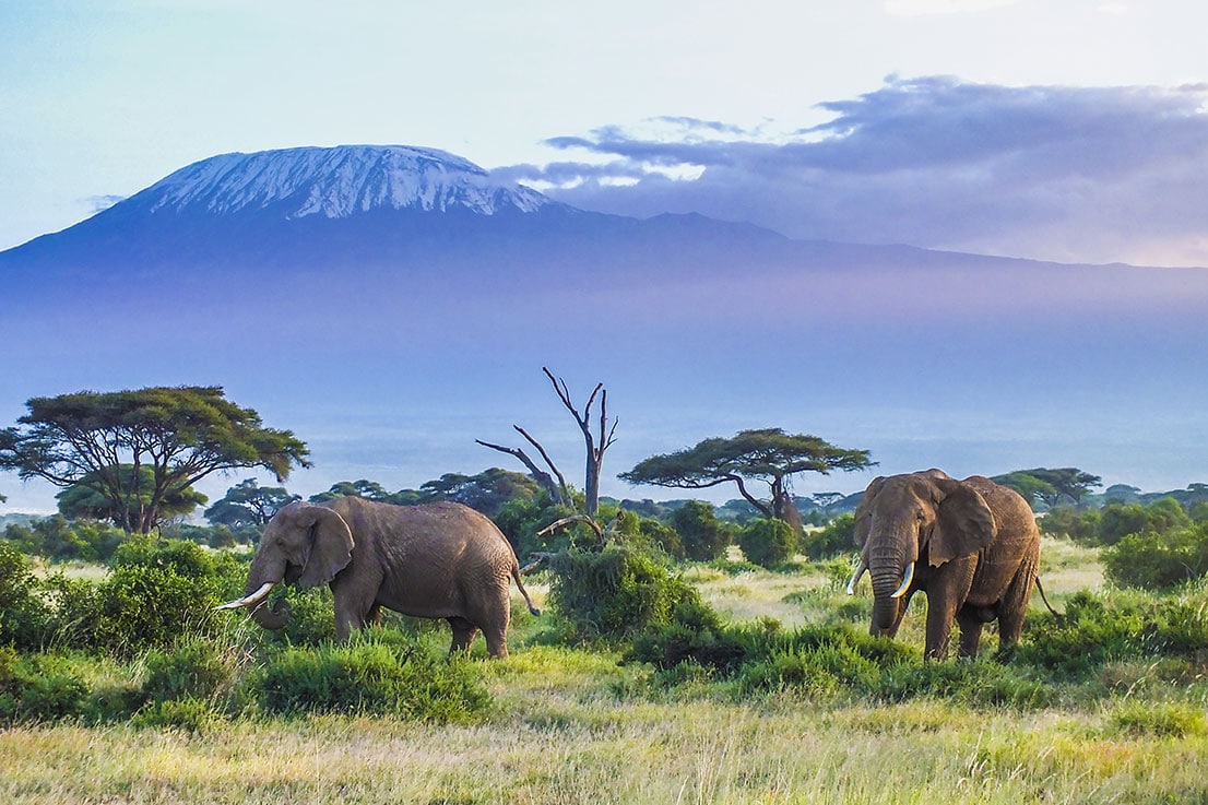 Tanzania safari landscape