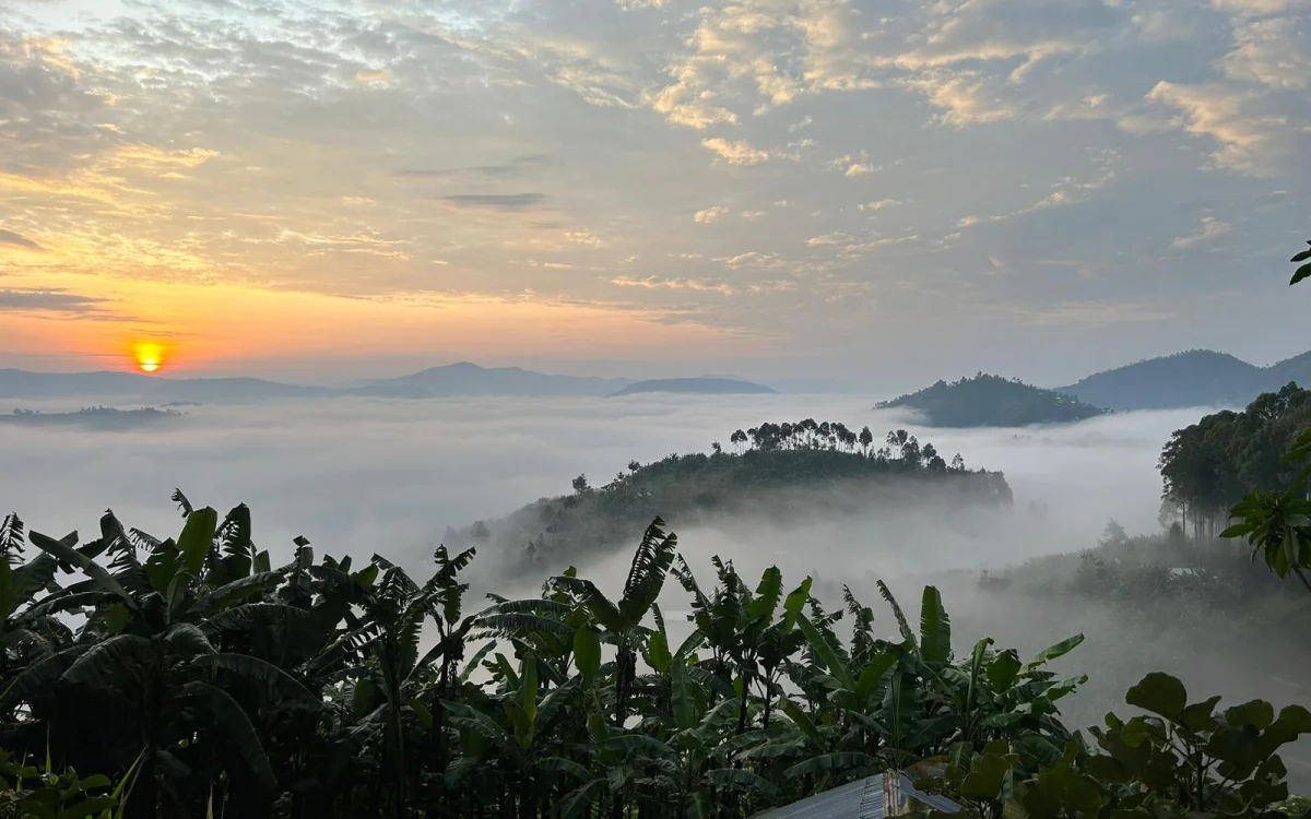 F1 Is Coming to Rwanda: What the African Grand Prix Means for Your Next Safari